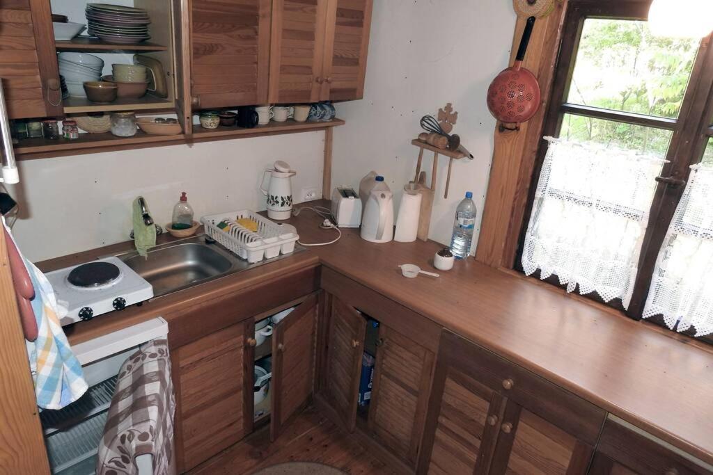Modrzewiowy Domek Letniskowy - Stare Czaple Бродниця Екстер'єр фото